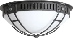 Jugendstil-Lampe für die Decke DE 2578-A