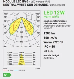LED Wandlaterne für Außen Louis XIII