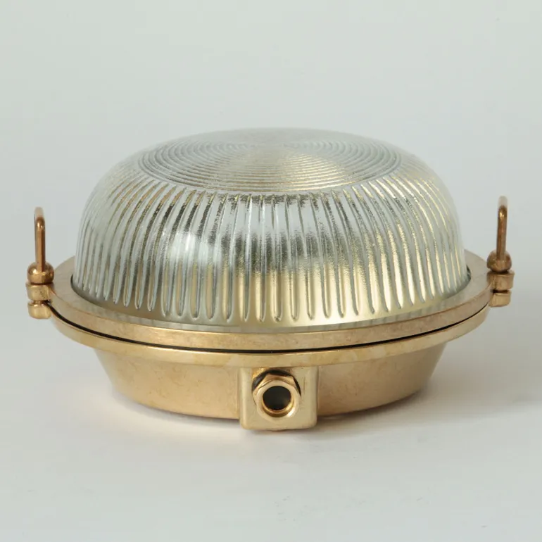 Maritime Außenwandleuchte mit rundem Holophanglas