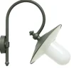 Nach vorne gerichtete Wandlampe für außen mit Bogenarm
