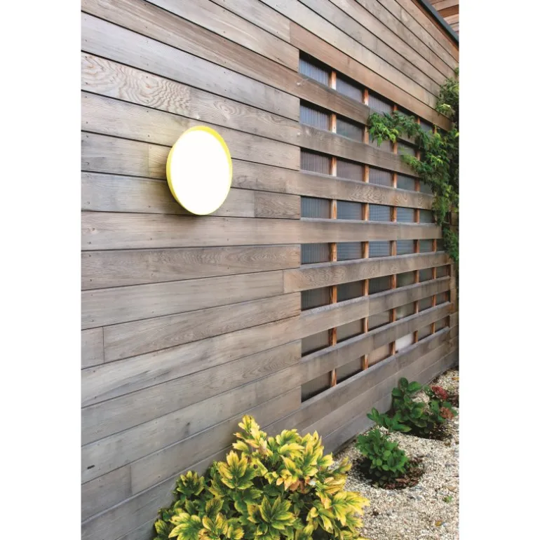 Runde LED-Decken- und Wandleuchte Mona