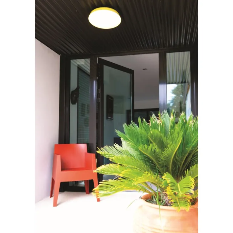 Runde LED-Decken- und Wandleuchte Mona